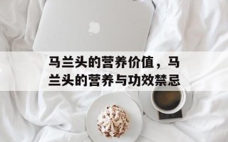 马兰头的营养价值，马兰头的营养与功效禁忌