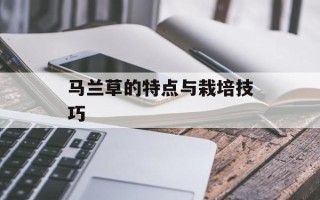 马兰草的特点与栽培技巧