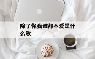 除了你我谁都不爱是什么歌