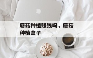 蘑菇种植赚钱吗，蘑菇种植盒子