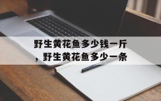 野生黄花鱼多少钱一斤，野生黄花鱼多少一条
