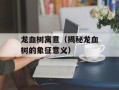 龙血树寓意（揭秘龙血树的象征意义）