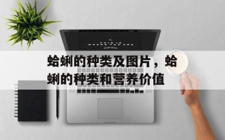 蛤蜊的种类及图片，蛤蜊的种类和营养价值