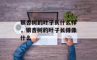 银杏树的叶子长什么样，银杏树的叶子长得像什么