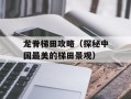 龙脊梯田攻略（探秘中国最美的梯田景观）