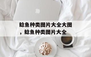 鲶鱼种类图片大全大图，鲶鱼种类图片大全