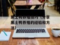 黑土鸭养殖技巧（分享黑土鸭养殖的经验和方法）