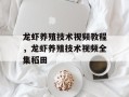 龙虾养殖技术视频教程，龙虾养殖技术视频全集稻田
