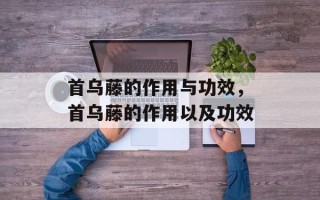 首乌藤的作用与功效，首乌藤的作用以及功效