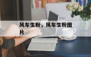风车生粉，风车生粉图片