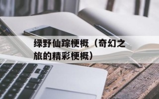 绿野仙踪梗概（奇幻之旅的精彩梗概）