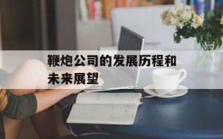 鞭炮公司的发展历程和未来展望