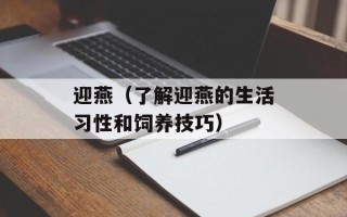 迎燕（了解迎燕的生活习性和饲养技巧）