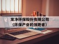 龙净环保股份有限公司（环保产业的领跑者）