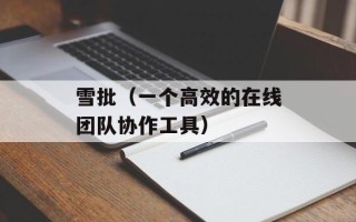 雪批（一个高效的在线团队协作工具）