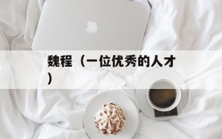 魏程（一位优秀的人才）