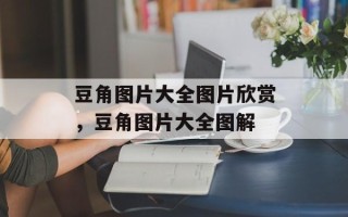 豆角图片大全图片欣赏，豆角图片大全图解