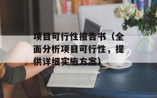 项目可行性报告书（全面分析项目可行性，提供详细实施方案）