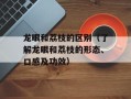 龙眼和荔枝的区别（了解龙眼和荔枝的形态、口感及功效）