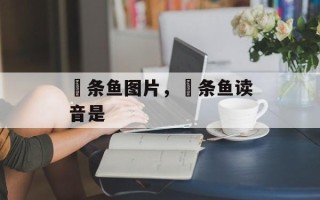 鳡条鱼图片，鳡条鱼读音是
