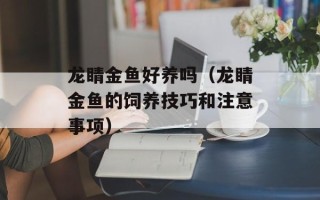 龙睛金鱼好养吗（龙睛金鱼的饲养技巧和注意事项）