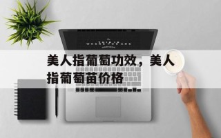 美人指葡萄功效，美人指葡萄苗价格