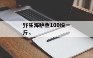野生海鲈鱼100块一斤，