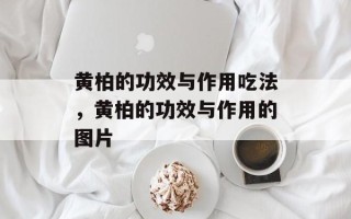 黄柏的功效与作用吃法，黄柏的功效与作用的图片