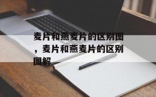 麦片和燕麦片的区别图，麦片和燕麦片的区别图解