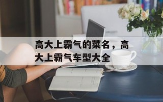 高大上霸气的菜名，高大上霸气车型大全