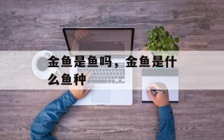 金鱼是鱼吗，金鱼是什么鱼种