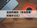 遗失的美好（寻找失落的美好记忆）