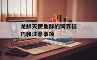 龙鳞天使鱼群的饲养技巧和注意事项
