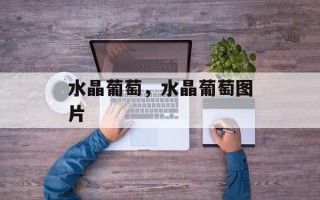 水晶葡萄，水晶葡萄图片