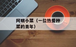 阿明小菜（一位热爱种菜的青年）