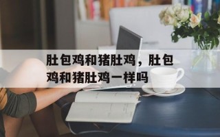肚包鸡和猪肚鸡，肚包鸡和猪肚鸡一样吗