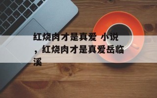 红烧肉才是真爱 小说，红烧肉才是真爱岳临溪