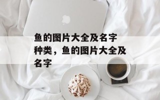 鱼的图片大全及名字 种类，鱼的图片大全及名字