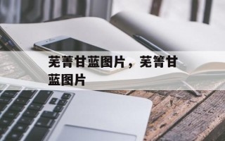 芜菁甘蓝图片，芜箐甘蓝图片