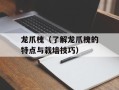 龙爪槐（了解龙爪槐的特点与栽培技巧）