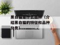 黑白猫是什么品种（介绍黑白猫的特征和品种分类）