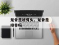 龙骨是啥骨头，龙骨是排骨吗