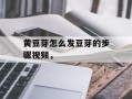 黄豆芽怎么发豆芽的步骤视频，