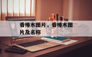 香椿木图片，香椿木图片及名称