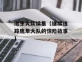 鹰隼大队续集（继续追踪鹰隼大队的惊险故事）