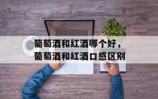 葡萄酒和红酒哪个好，葡萄酒和红酒口感区别