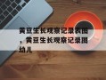 黄豆生长观察记录表图，黄豆生长观察记录图幼儿