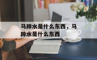 马蹄水是什么东西，马蹄水是什么东西