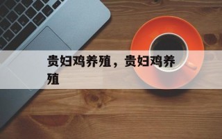 贵妇鸡养殖，贵妇鸡养殖