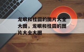 龙眼和桂圆的图片大全大图，龙眼和桂圆的图片大全大图